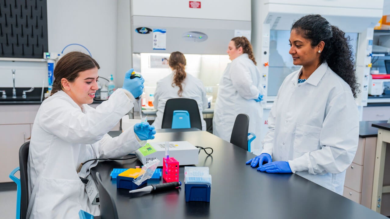 Individuals conducting an experiment in a biology lab